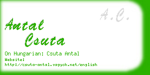 antal csuta business card